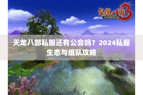 天龙八部私服还有公会吗？2024私服生态与组队攻略