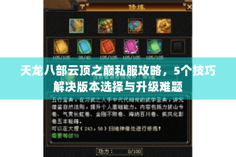 天龙八部云顶之巅私服攻略，5个技巧解决版本选择与升级难题
