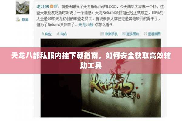 天龙八部私服内挂下载指南，如何安全获取高效辅助工具