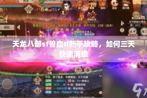 天龙八部sf兽血tl新手攻略，如何三天快速满级