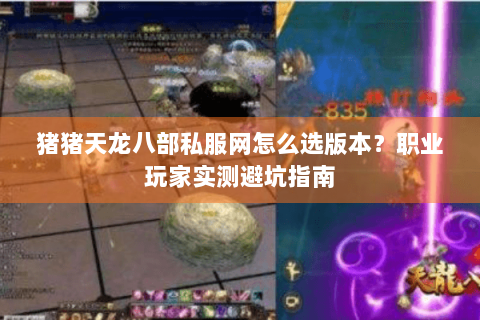 猪猪天龙八部私服网怎么选版本？职业玩家实测避坑指南