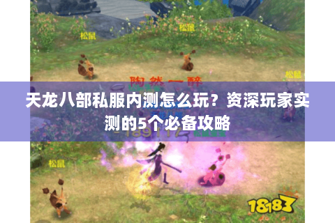 天龙八部私服内测怎么玩？资深玩家实测的5个必备攻略