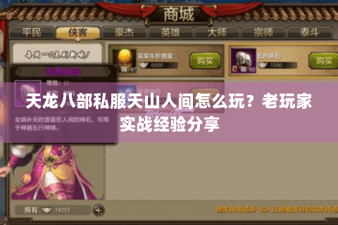 天龙八部私服天山人间怎么玩？老玩家实战经验分享