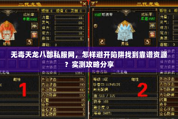 无毒天龙八部私服网，怎样避开陷阱找到靠谱资源？实测攻略分享