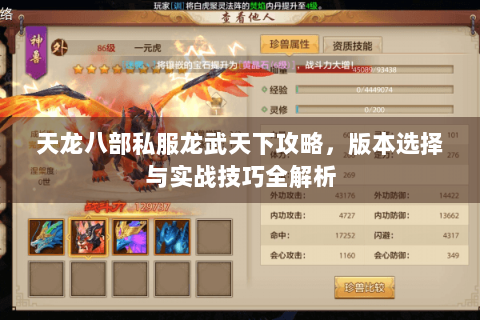 天龙八部私服龙武天下攻略，版本选择与实战技巧全解析