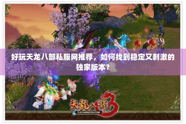 好玩天龙八部私服网推荐，如何找到稳定又刺激的独家版本？