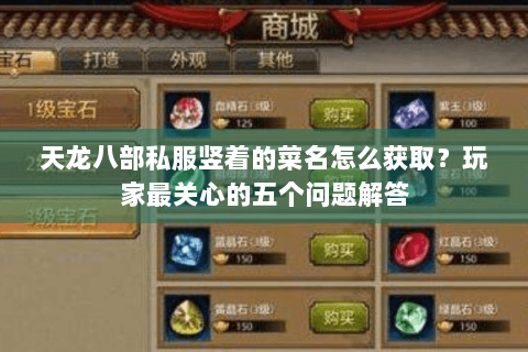 天龙八部私服竖着的菜名怎么获取？玩家最关心的五个问题解答