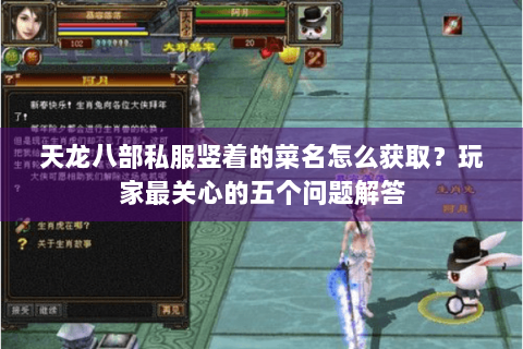 天龙八部私服竖着的菜名怎么获取？玩家最关心的五个问题解答