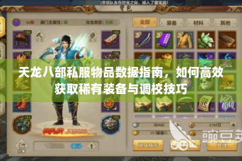 天龙八部私服物品数据指南，如何高效获取稀有装备与调校技巧