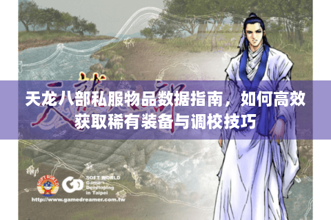 天龙八部私服物品数据指南，如何高效获取稀有装备与调校技巧