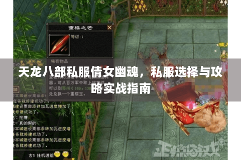 天龙八部私服倩女幽魂，私服选择与攻略实战指南