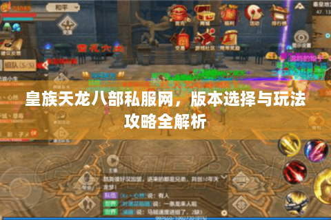 皇族天龙八部私服网，版本选择与玩法攻略全解析