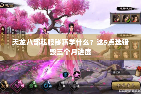 天龙八部私服秘籍学什么？这5点选错毁三个月进度