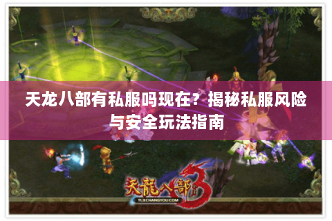 天龙八部有私服吗现在？揭秘私服风险与安全玩法指南