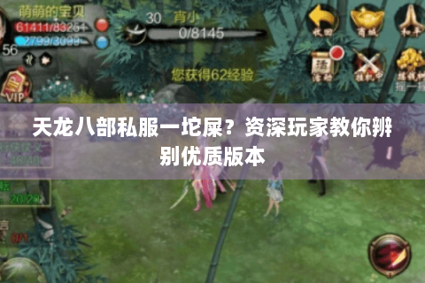 天龙八部私服一坨屎？资深玩家教你辨别优质版本