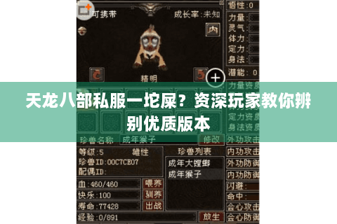天龙八部私服一坨屎？资深玩家教你辨别优质版本