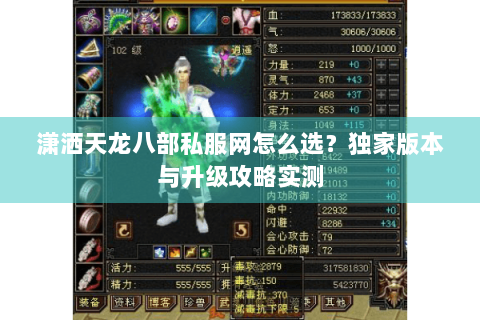 潇洒天龙八部私服网怎么选？独家版本与升级攻略实测