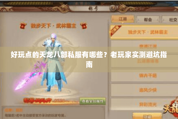 好玩点的天龙八部私服有哪些？老玩家实测避坑指南
