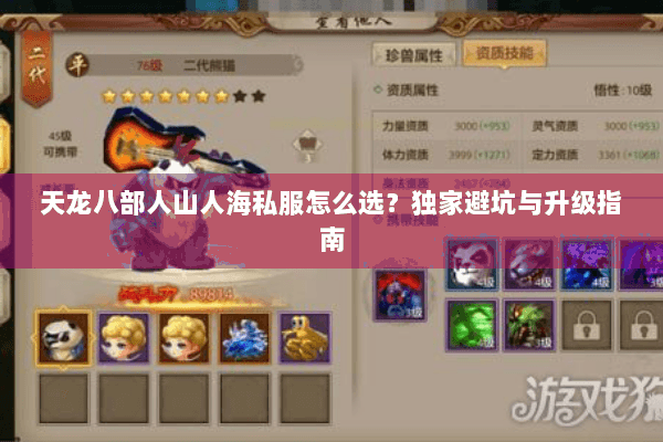 天龙八部人山人海私服怎么选？独家避坑与升级指南