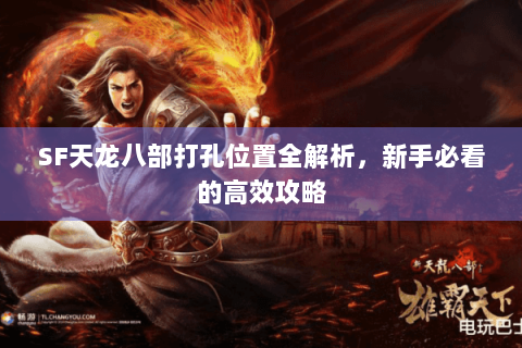 SF天龙八部打孔位置全解析，新手必看的高效攻略