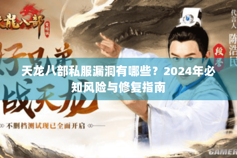 天龙八部私服漏洞有哪些？2024年必知风险与修复指南