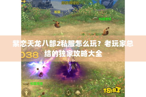 紫恋天龙八部2私服怎么玩？老玩家总结的独家攻略大全