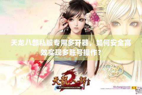 天龙八部私服专用多开器，如何安全高效实现多账号操作？