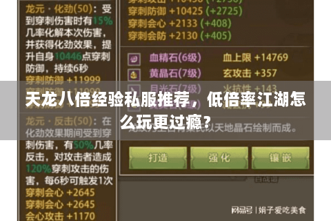 天龙八倍经验私服推荐，低倍率江湖怎么玩更过瘾？