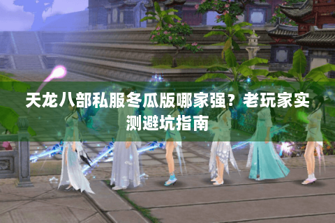 天龙八部私服冬瓜版哪家强？老玩家实测避坑指南