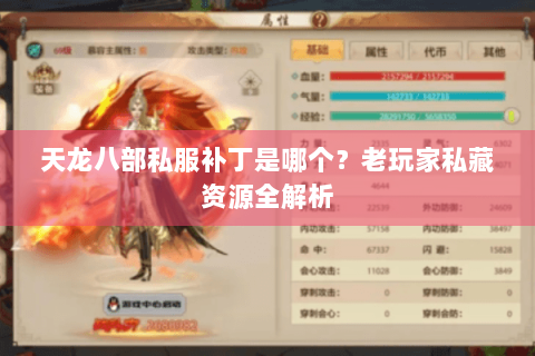 天龙八部私服补丁是哪个？老玩家私藏资源全解析