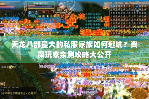 天龙八部最大的私服家族如何避坑？资深玩家亲测攻略大公开