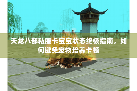 天龙八部私服卡宝宝状态终极指南，如何避免宠物培养卡顿