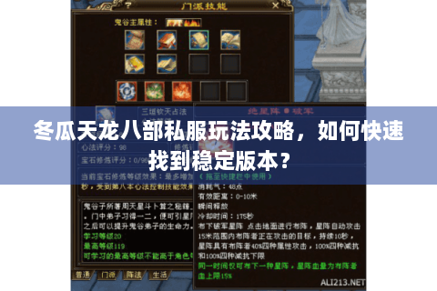 冬瓜天龙八部私服玩法攻略，如何快速找到稳定版本？