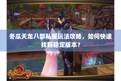 冬瓜天龙八部私服玩法攻略，如何快速找到稳定版本？