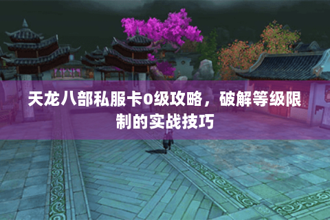 天龙八部私服卡0级攻略，破解等级限制的实战技巧