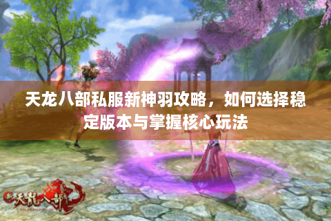 天龙八部私服新神羽攻略，如何选择稳定版本与掌握核心玩法