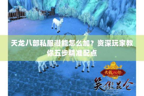 天龙八部私服潜能怎么加？资深玩家教你五步精准配点