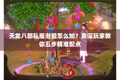 天龙八部私服潜能怎么加？资深玩家教你五步精准配点