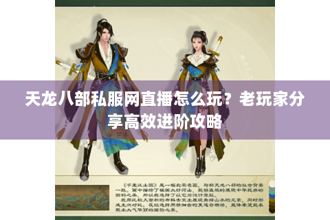 天龙八部私服网直播怎么玩？老玩家分享高效进阶攻略