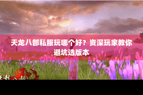 天龙八部私服玩哪个好？资深玩家教你避坑选版本