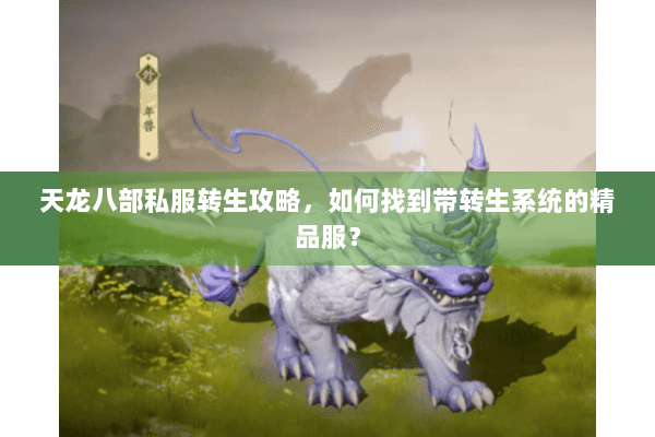 天龙八部私服转生攻略，如何找到带转生系统的精品服？