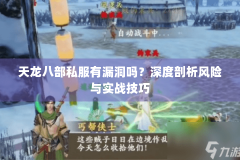 天龙八部私服有漏洞吗？深度剖析风险与实战技巧