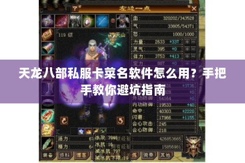 天龙八部私服卡菜名软件怎么用？手把手教你避坑指南