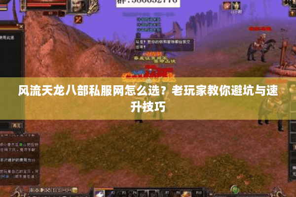风流天龙八部私服网怎么选？老玩家教你避坑与速升技巧