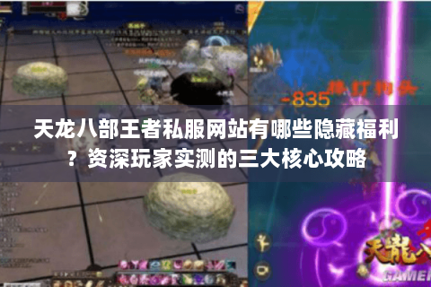 天龙八部王者私服网站有哪些隐藏福利？资深玩家实测的三大核心攻略
