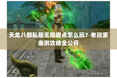 天龙八部私服无限增点怎么玩？老玩家亲测攻略全公开