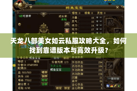 天龙八部美女如云私服攻略大全，如何找到靠谱版本与高效升级？