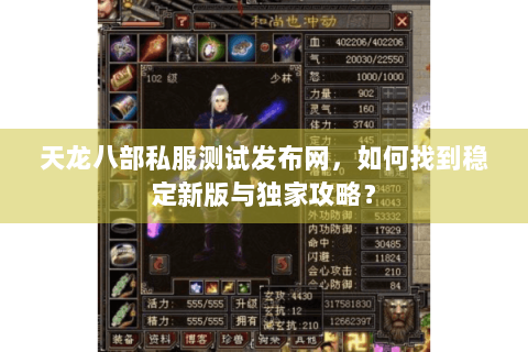 天龙八部私服测试发布网，如何找到稳定新版与独家攻略？