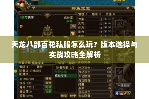 天龙八部百花私服怎么玩？版本选择与实战攻略全解析