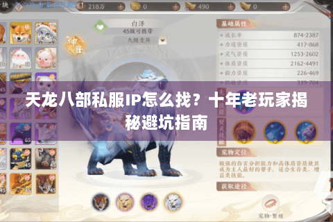 天龙八部私服IP怎么找？十年老玩家揭秘避坑指南
